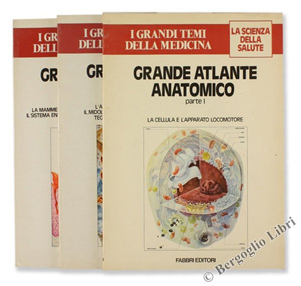 GRANDE ATLANTE ANATOMICO.