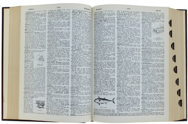 STANDARD DICTIONARY OF THE ENGLISH LANGUAGE combined with BRITANNICA WORLD …