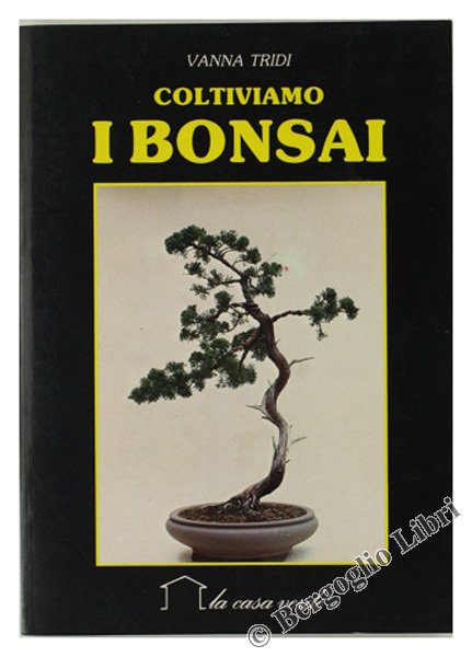 COLTIVIAMO I BONSAI.