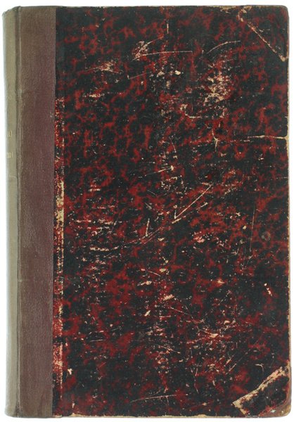 GLI ANGELI DELLA TERRA. Romanzo illustrato.