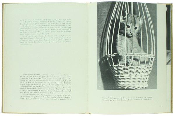 UN PICCOLO ZOO NEL VOSTRO SALOTTO.