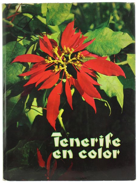 TENERIFE EN COLOR. | Immagine Gallery 1