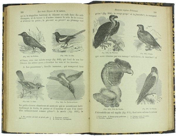 NIOVA CRESTOMAZIA TECNICA FRANCESE. Dialoghi e letture in Prosa e …