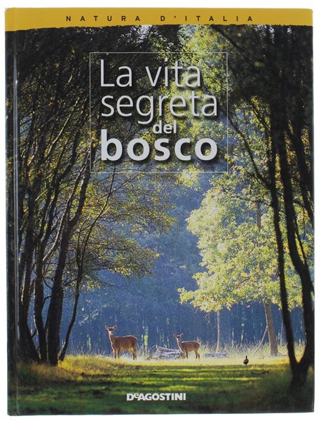 LA VITA SEGRETA DEL BOSCO.