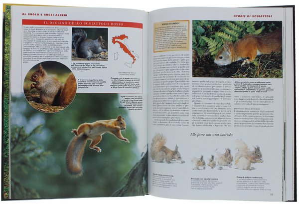 LA VITA SEGRETA DEL BOSCO.