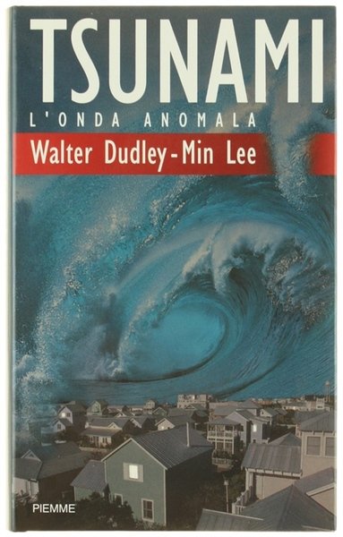 TSUNAMI - L'ONDA ANOMALA.