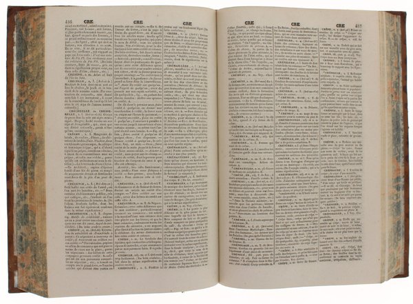 DICTIONNAIRE UNIVERSEL DE LA LANGUE FRANÇAISE avec la prononciation, les …