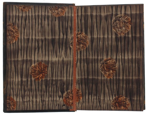 LES SURPRISES DU COEUR [exemplaire sur parchemin]