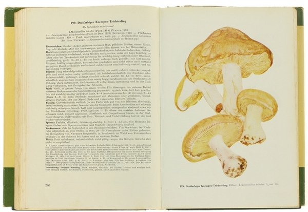 HANDBUCH FÜR PILZFREUNDE. Band 3: Hellblätter und Leistlinge.