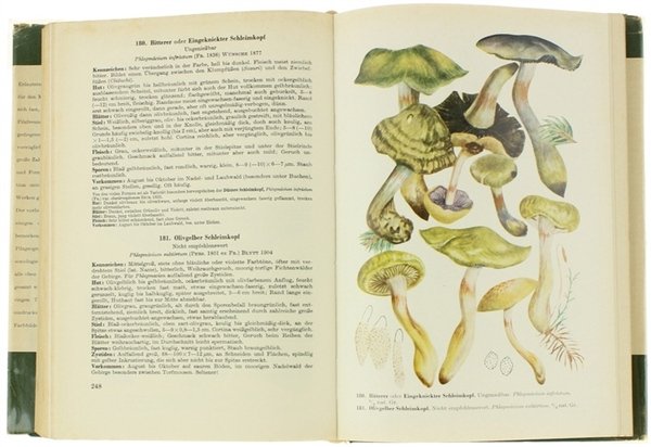 HANDBUCH FÜR PILZFREUNDE. Band 4: Blätterpilze - Dunkelblätter.