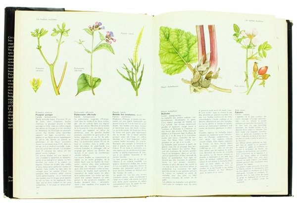 LE LIVRE DES HERBES ET DES EPICES.
