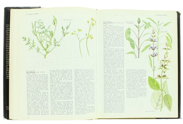 LE LIVRE DES HERBES ET DES EPICES.