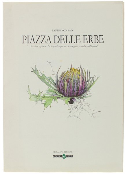 PIAZZA DELLE ERBE.