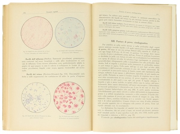 ELEMENTI DI DIAGNOSTICA CLINICA.