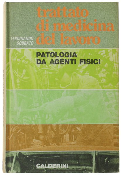 TRATTATO DI MEDICINA DEL LAVORO. Patologia da agenti fisici.