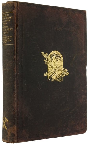 NINETEENTH ANNUAL REPORT OF THE UNITED STATES GEOLOGICAL SURVEY TO …