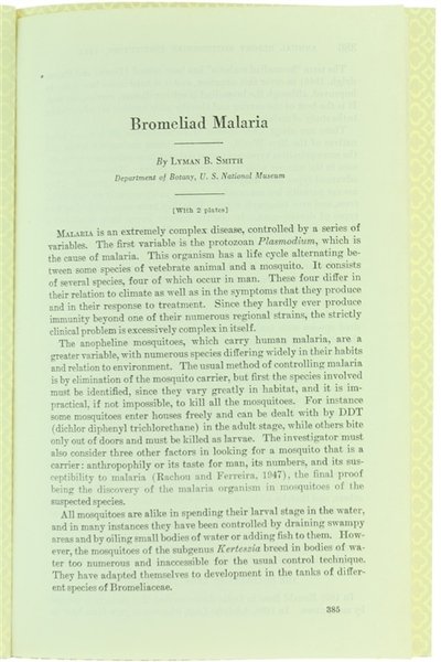 BROMELIAD MALARIA.