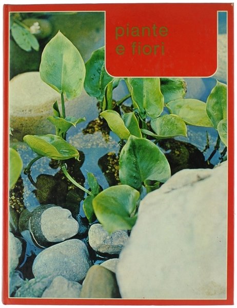 PIANTE E FIORI.