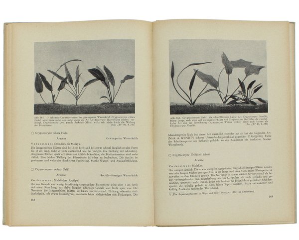 WASSERPFLANZEN. Beschreibung, Bewertung und Kulturpraxis der wichtigsten in Vivarien gehaltenen … | Immagine Gallery 2