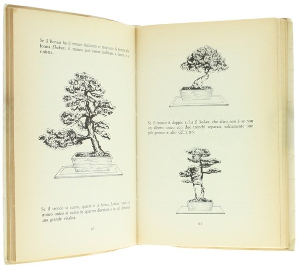 PIANTE DA APPARTAMENTO, BALCONI E TERRAZZE. | Immagine Gallery 2