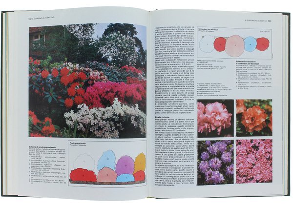 IL MIO GIARDINO. Guida pratica per giardino e orto [completa: …