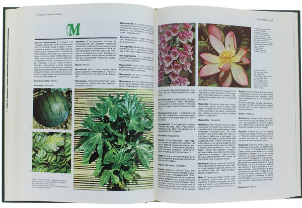 IL MIO GIARDINO. Guida pratica per giardino e orto [completa: …