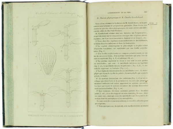 NOUVEAUX ELEMENS DE BOTANIQUE ET DE PHYSIOLOGIE VEGETALE. Sixième édition … | Immagine Gallery 2