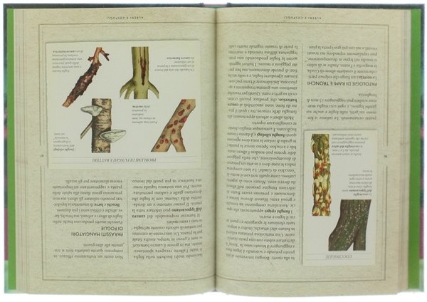 GIARDINAGGIO SENZA PROBLEMI.