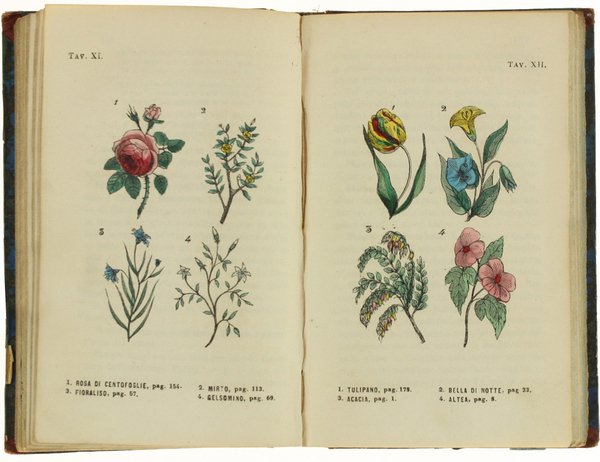 IL NUOVO LINGUAGGIO DE' FIORI PEL GENTIL SESSO COL DIZIONARIO …