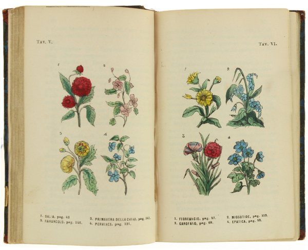 IL NUOVO LINGUAGGIO DE' FIORI PEL GENTIL SESSO COL DIZIONARIO …