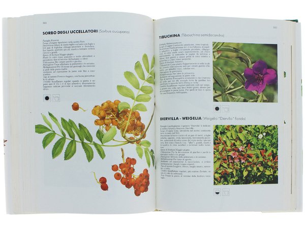 IL GRANDE LIBRO DEL GIARDINAGGIO.