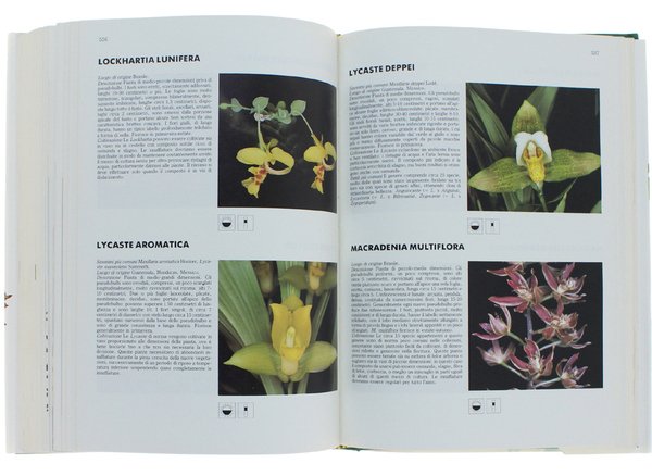 IL GRANDE LIBRO DEL GIARDINAGGIO.