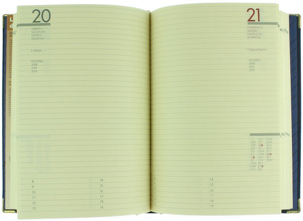 AGENDA ENEL 1987.