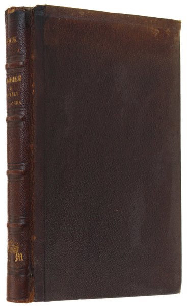 LA MARIEE DE FONTENAY-AUX-ROSES.