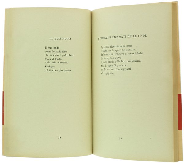 IL FLAUTO E LA BRICOLLA.