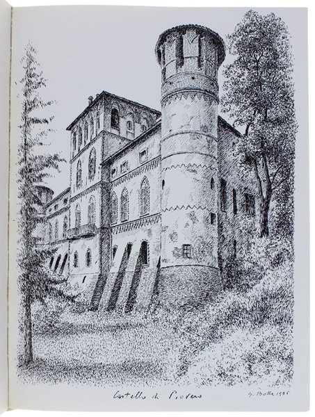 DA ALESSANDRIA DA CASALE TUTTO INTORNO. Andar per Castelli.