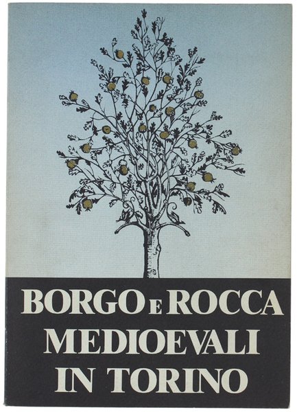 BORGO E ROCCA MEDIOEVALI IN TORINO.