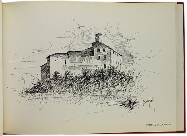 CASTELLI IN PIEMONTE - LE LANGHE.
