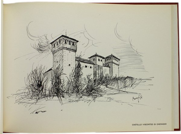 CASTELLI IN PIEMONTE - LE LANGHE.