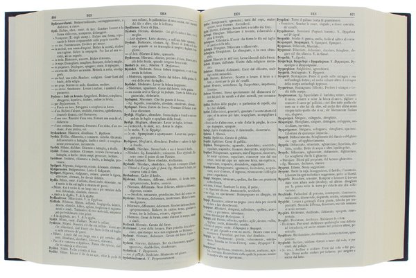 GRAN DIZIONARIO Piemontese-Italiano [nuovo: nell'imballo originale]