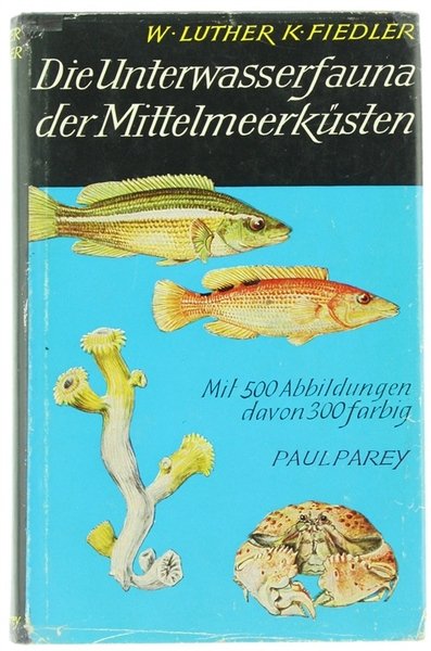 DIE UNTERWASSERFAUNA DER MITTELMEERKÜSTEN. Ein Taschenbuch für Biologen and Naturfreunde. | Immagine principale