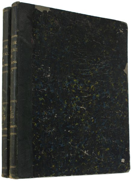 REVUE MILITAIRE DE L'ETRANGER - 1875. 1er semestre (N. 217 …