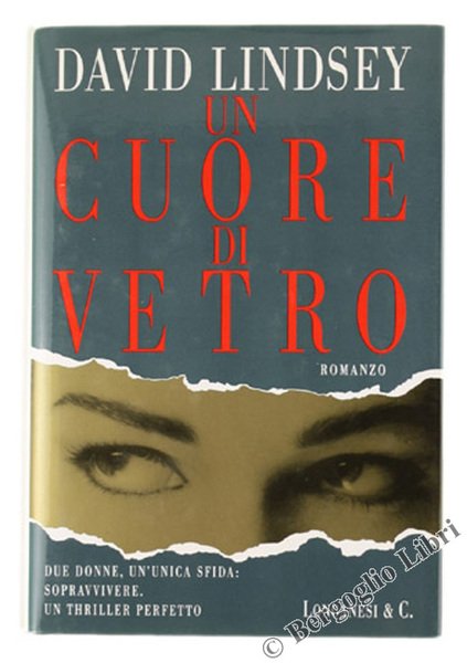 UN CUORE DI VETRO. Romanzo.