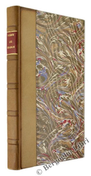 LES OISEAUX DANS LE REGNE ANIMAL