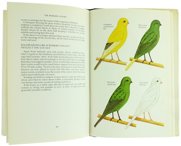 THE BORDER CANARY. Coloured plates by Michael Stringer.