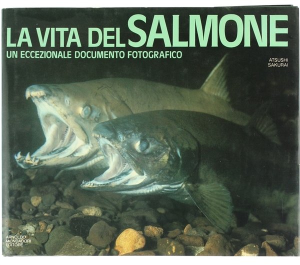 LA VITA DEL SALMONE. Un eccezionale documento fotografico.