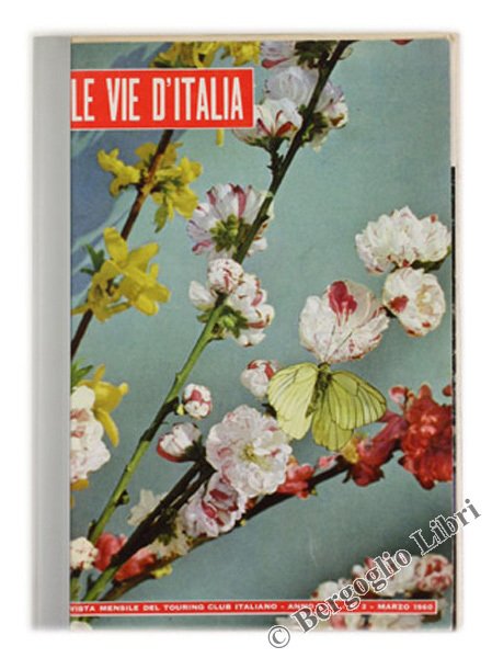 PESCA INTORNO AL MONDO: raccolta di articoli.