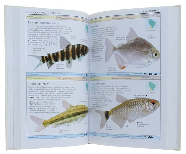 PESCI D'ACQUARIO. Guida illustrata a oltre 500 specie di pesci …