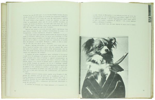 UN PICCOLO ZOO NEL VOSTRO SALOTTO.