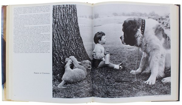 JOIES DU CHIEN.